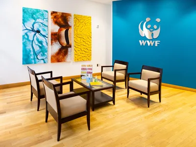 Four chairs surround a coffee table in a room with one teal wall with the WWF logo and a white wall with three close-up images of nature