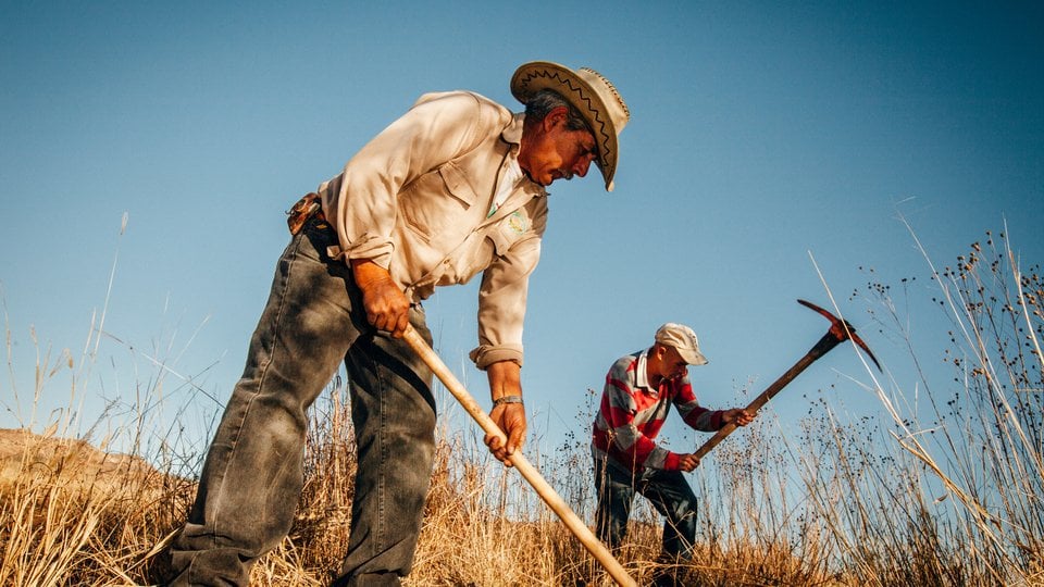 Two men in hats use tools to work the land in the Rio Grande