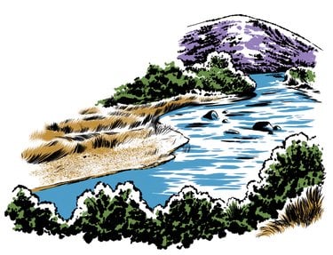 Illustration of a river shoreline