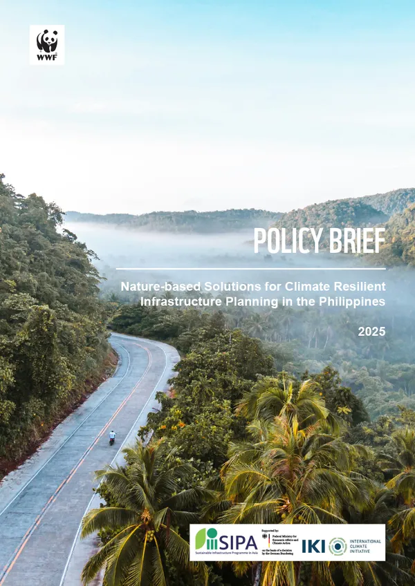 SIPA Philippines Policy Brief report cover