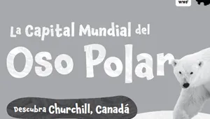 La Capital Mundial del Oso Polar (en blanco y negro)