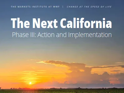 Report cover showing crops and a sun low in the sky