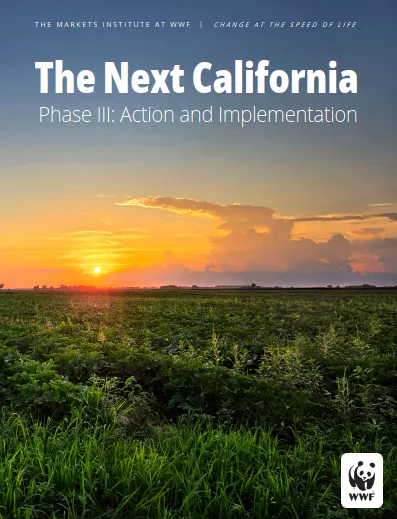 Report cover showing crops and a sun low in the sky