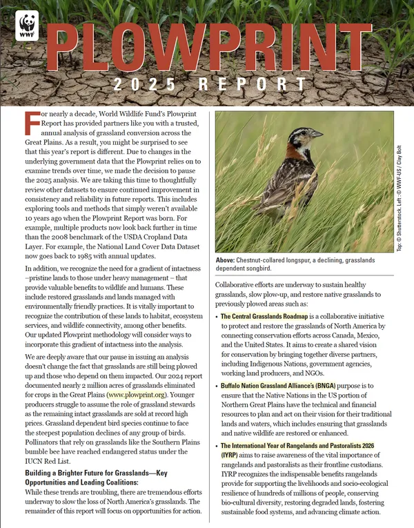 Cover of the 2025 Plowprint Report featuring text and a photo of a songbird