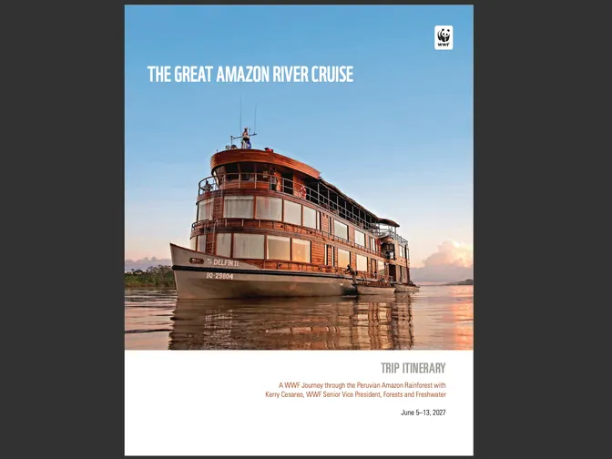 Cover image for the 2027 Insider Journeys Amazon River Cruise trip
