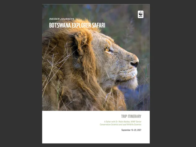 Cover image for the 2027 Insider Journeys Botswana trip