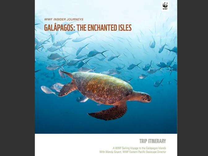 Cover for IJ Galapagos 2026 trip