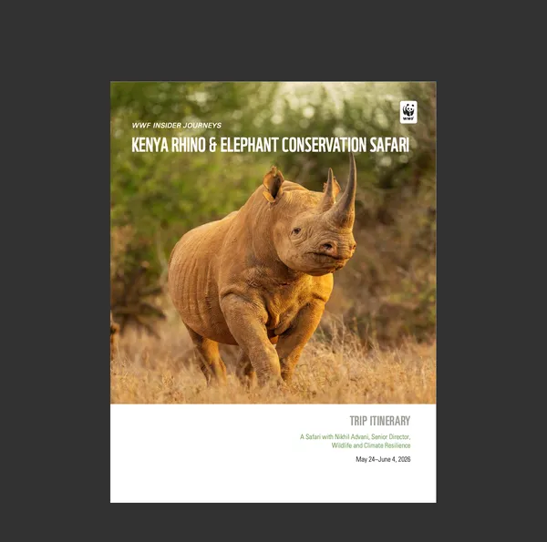 Cover for IJ Kenya 2026 trip
