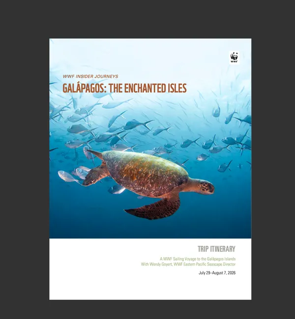 Cover for IJ Galapagos 2026 trip