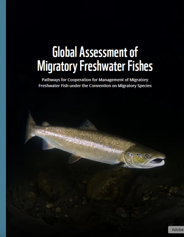 Cover of a report with title and an image of a large fish underwater