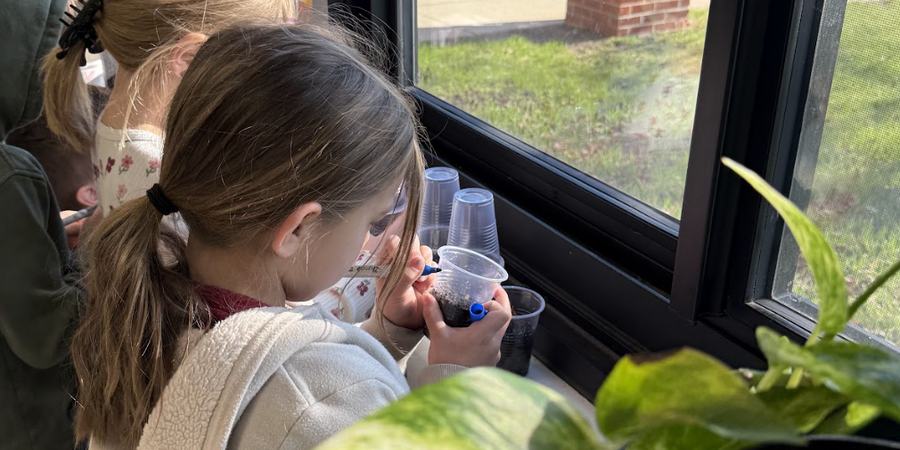 Students label seeds