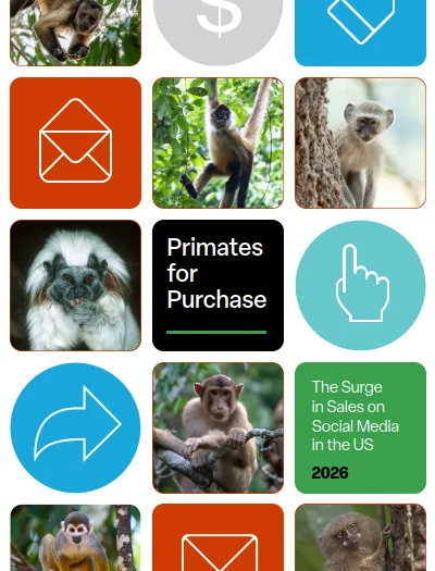Cover of Primates for Purchase report with blocks of color and blocks of images of primates