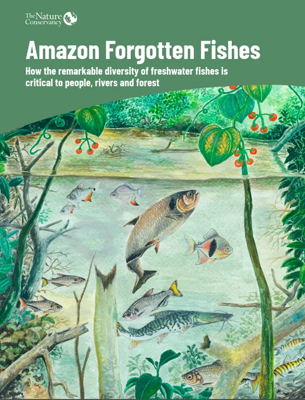 This report cover shows an illustration of a cross-section of the Amazon River showing a variety of fish with the report title at the top over a green background