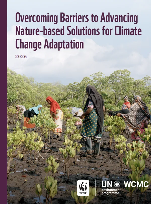 The cover page of a report
