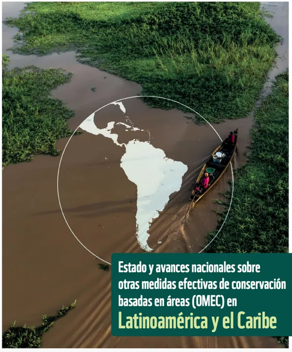 Report cover
