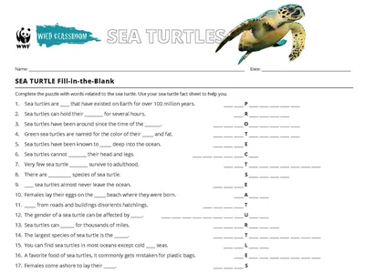 Sea Turtle Word Puzzle