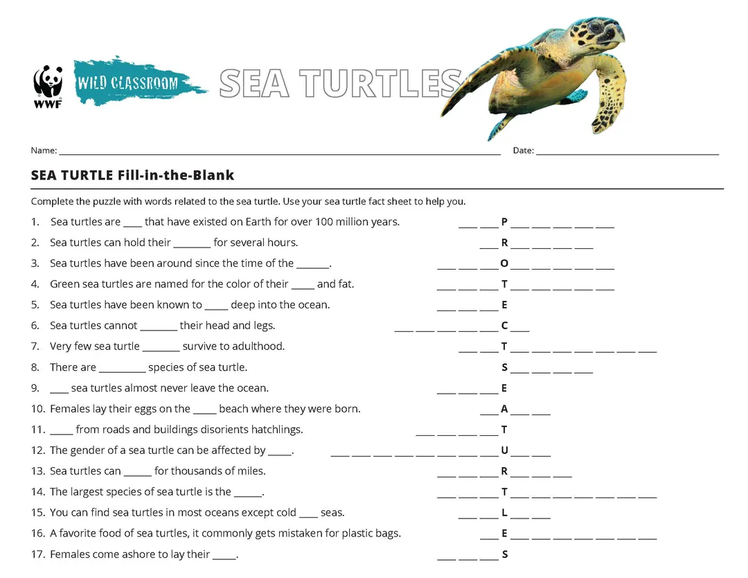 Sea Turtle Word Puzzle