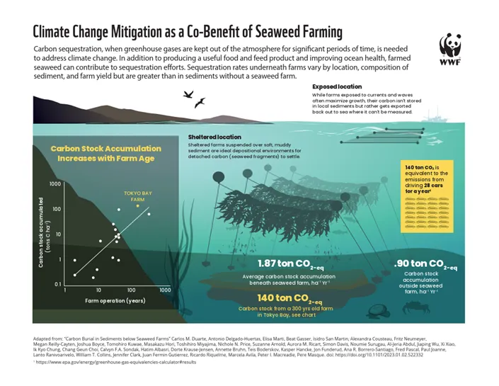 Climate Change Mitigation as a Co-Benefit of Seaweed Farming