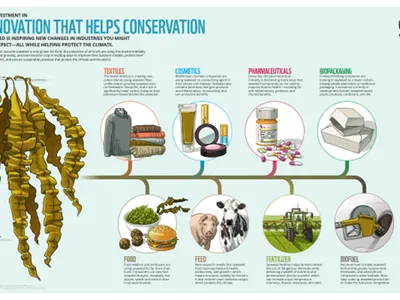 An Investment in Innovation that Helps Conservation