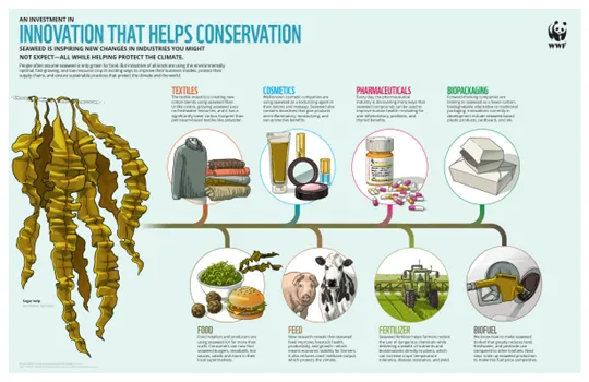 An Investment in Innovation that Helps Conservation