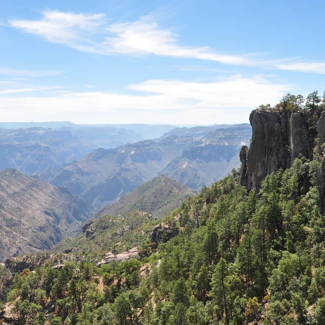 Looking down into Cooper Canyon in the Sierra Tarahumara