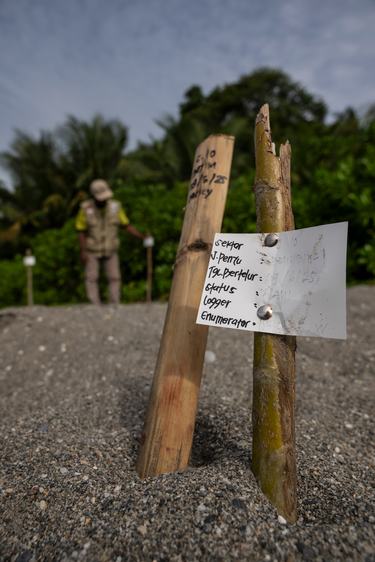 Handwritten sign marking turtle nest under sand
