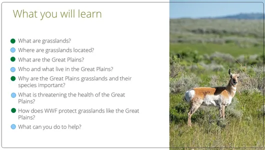 Grasslands of the Great Plains Classroom Presentation