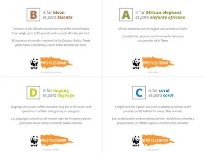 Preview of Species ABCs flashcards
