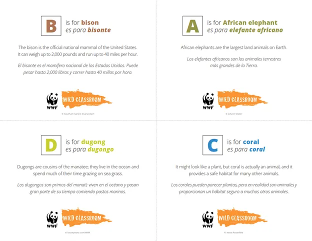 Preview of Species ABCs flashcards