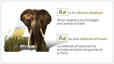 A preview slide from the Species ABCS powerpoint presentations