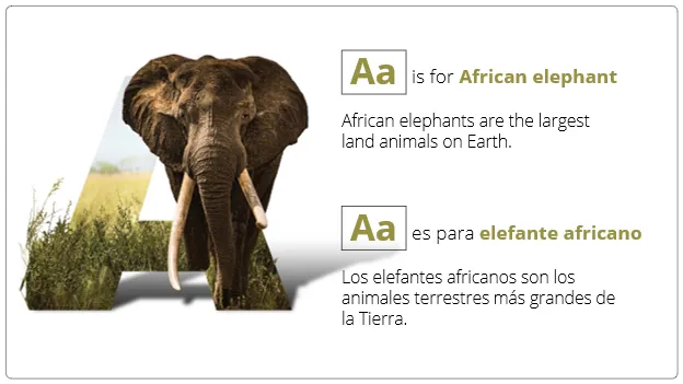 A preview slide from the Species ABCS powerpoint presentations
