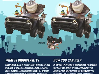 Spot the Difference