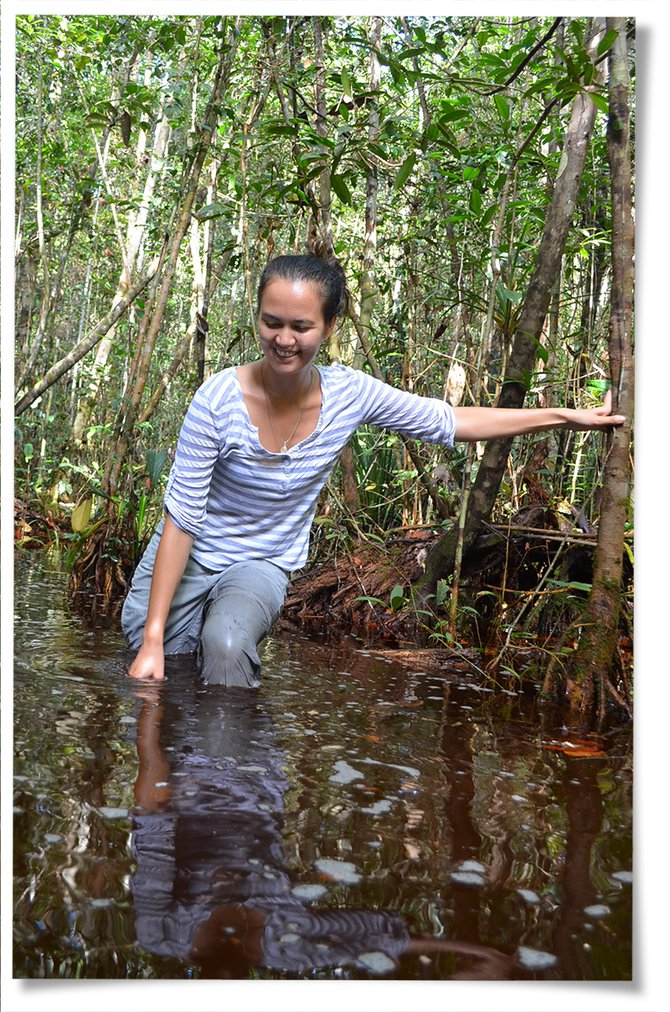 Stephanie Roe’s Journey to Climate Science | World Wildlife Fund