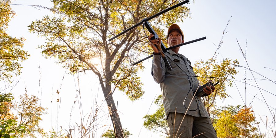 Xuma using a tracking device in the trees