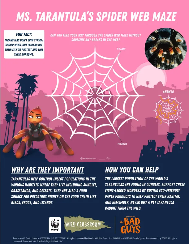Tarantula's Spider Web Maze