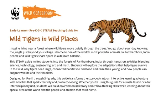 preview of the STEAM Guide for Wild Tigers in Wild Places storybook