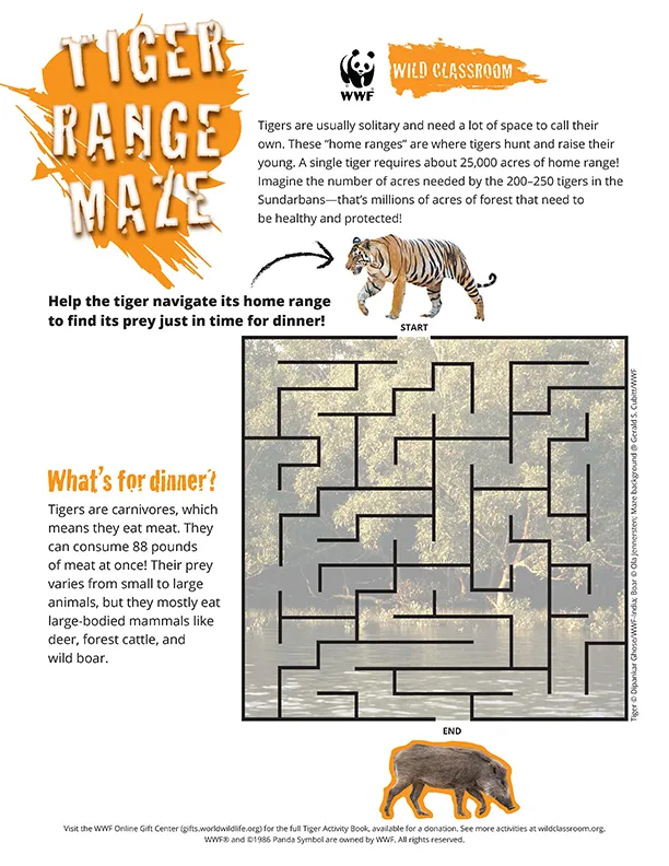 Tiger Range Maze