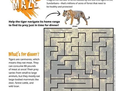 Tiger Range Maze