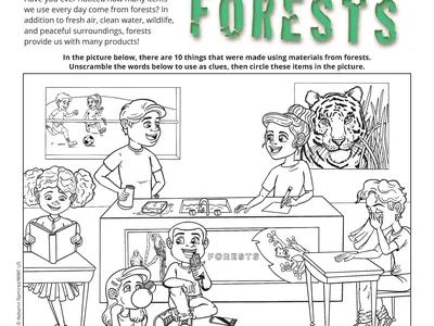 Tiger Seek and Find