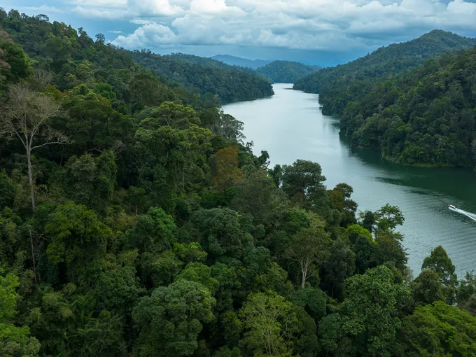 Aerial photo of a river through the forest