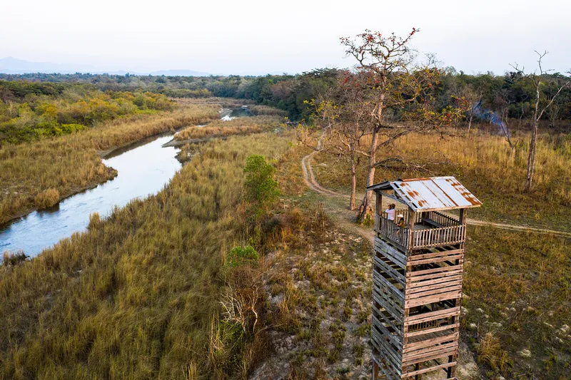 Tiger observation tower