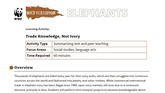 A preview of the Trade Knowledge, Not Ivory learning activity