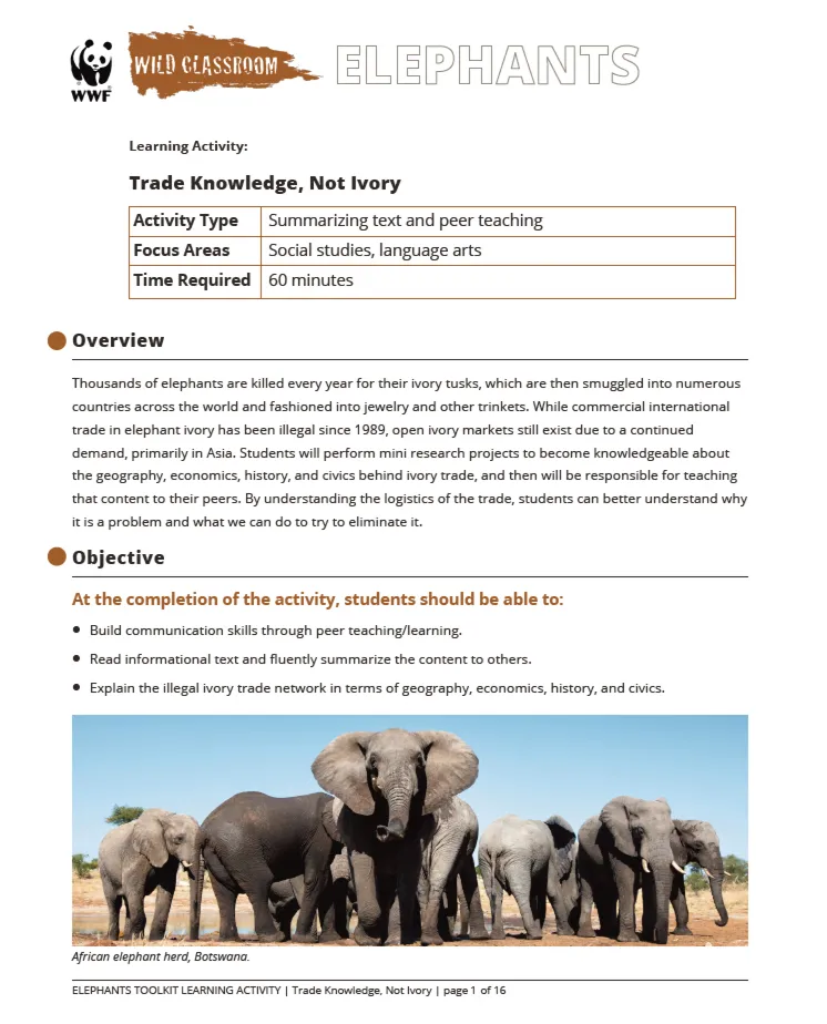 A preview of the Trade Knowledge, Not Ivory learning activity