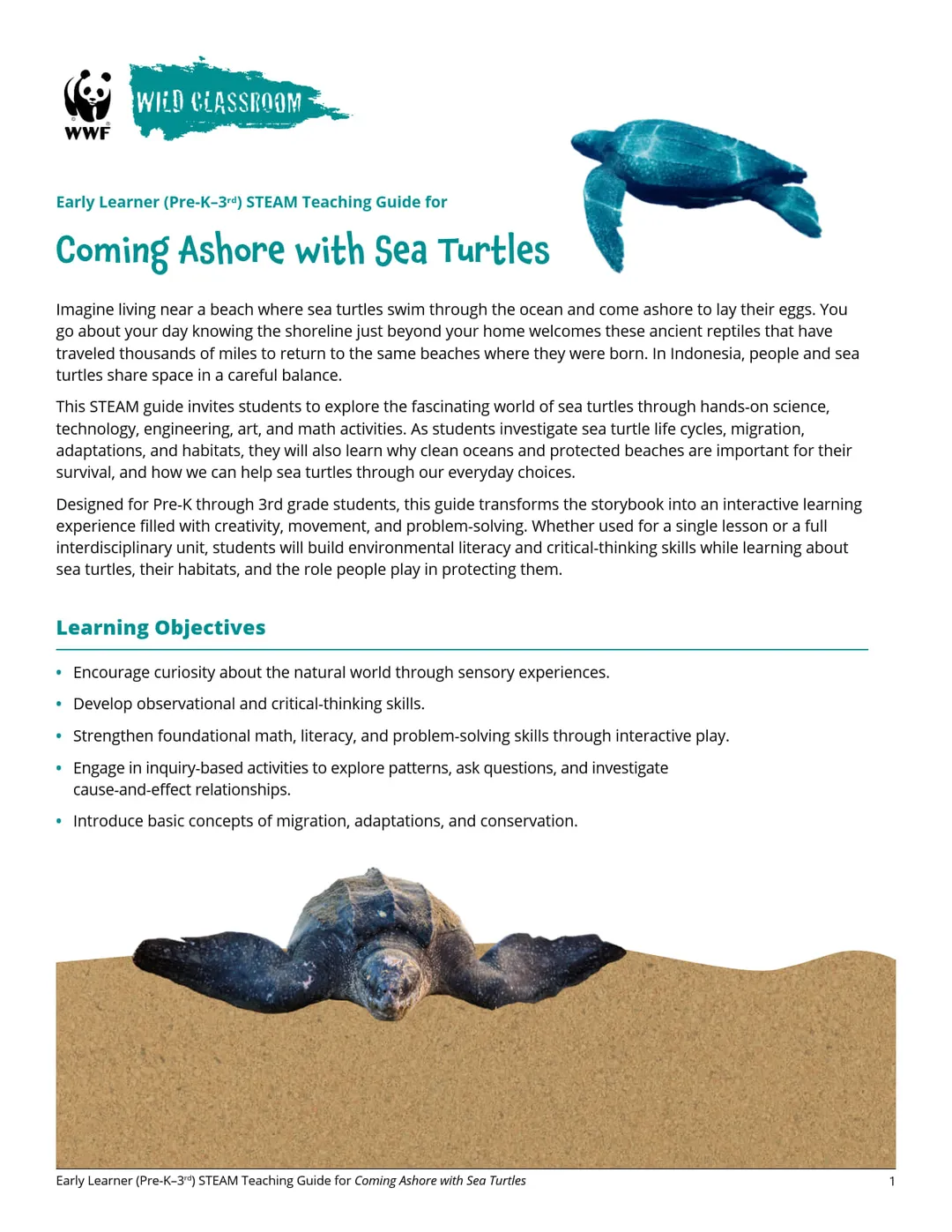 preview of the STEAM Guide for Coming Ashore with Sea Turtles storybook