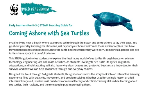 preview of the STEAM Guide for Coming Ashore with Sea Turtles storybook