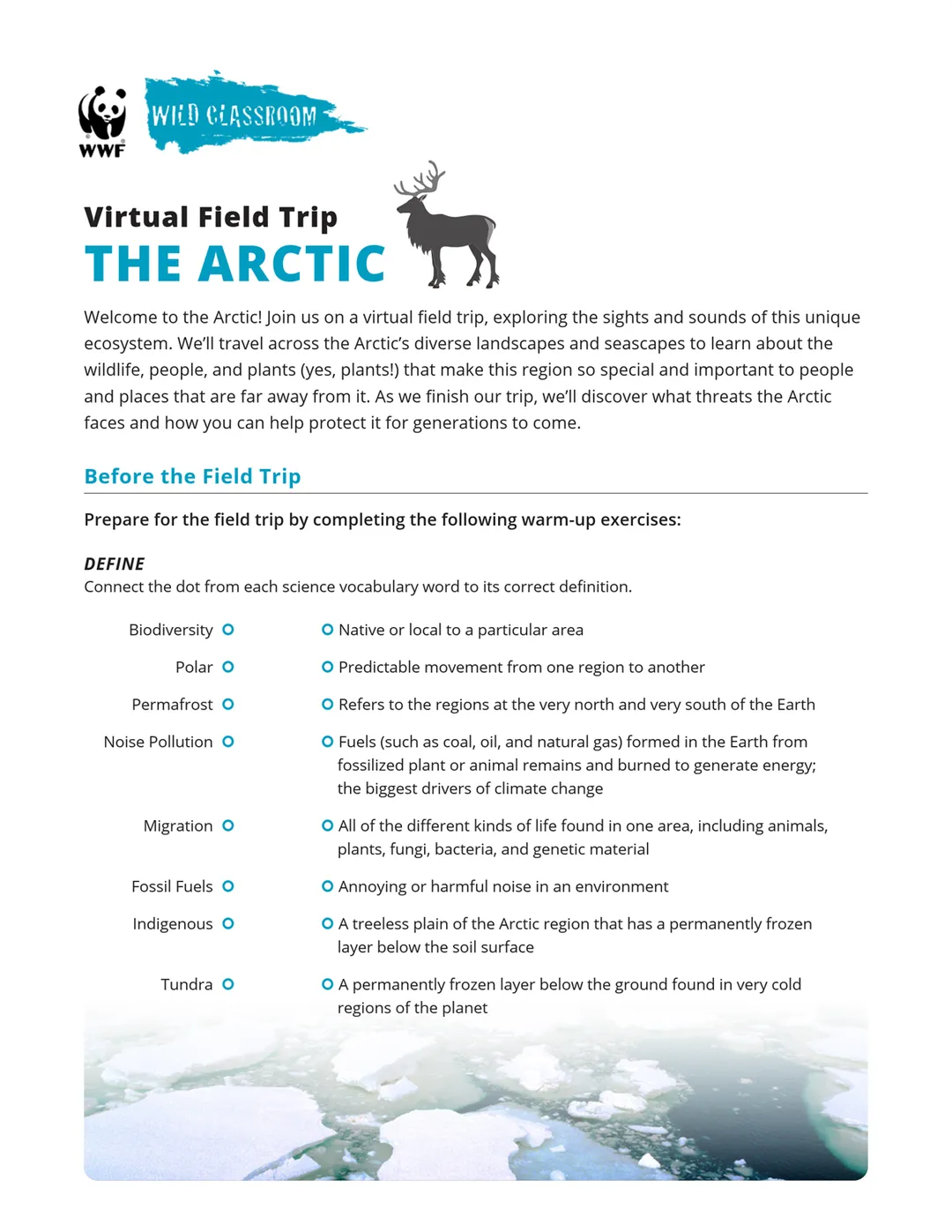 Virtual Field Trip to the Arctic Field Guide