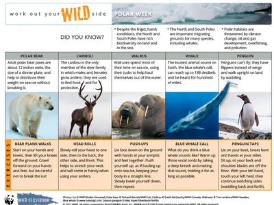 Work Out Your Wild Side - Polar Week