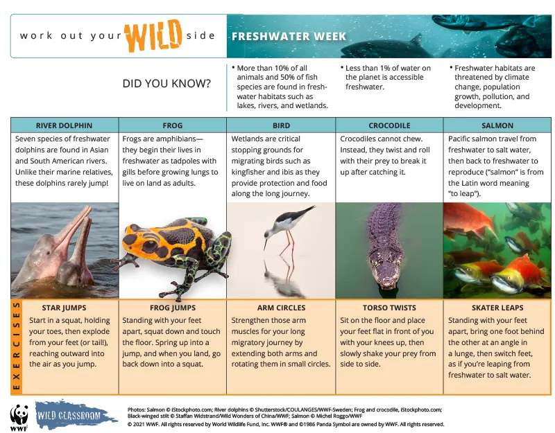 Preview of Work Out Your Wild Side activity calendar