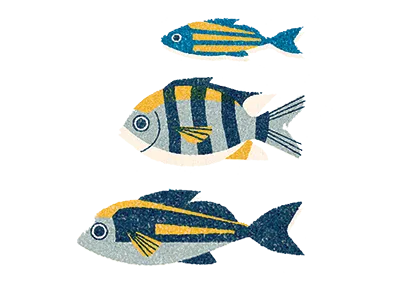 Three colorful fish