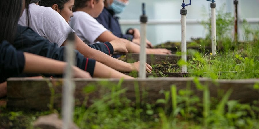 Students working in a greenhouse with plants